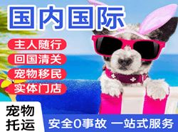 天河航空快运国际宠物托运 【国